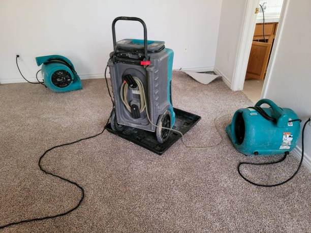 Best Flood restoration services  in Aragon, GA
