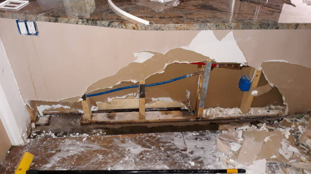Best Water damage repair service  in Aragon, GA