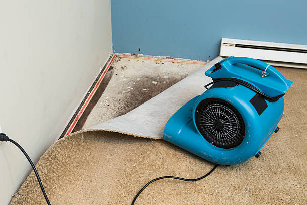 Best Water damage cleanup near me  in Aragon, GA